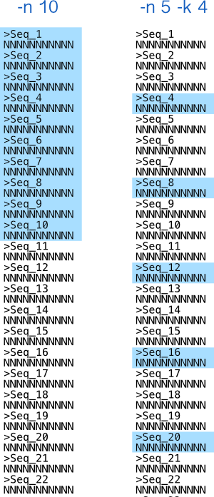Example