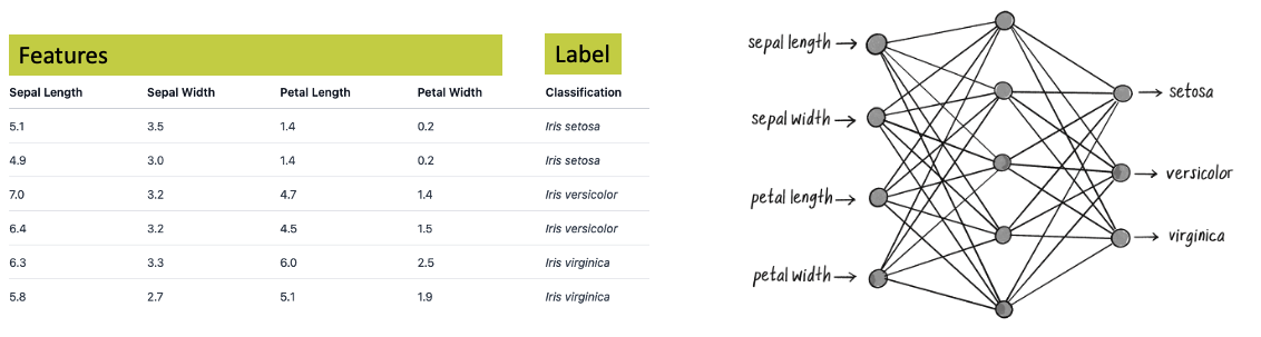 Iris classification neural network