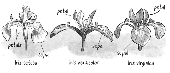 The famous iris dataset