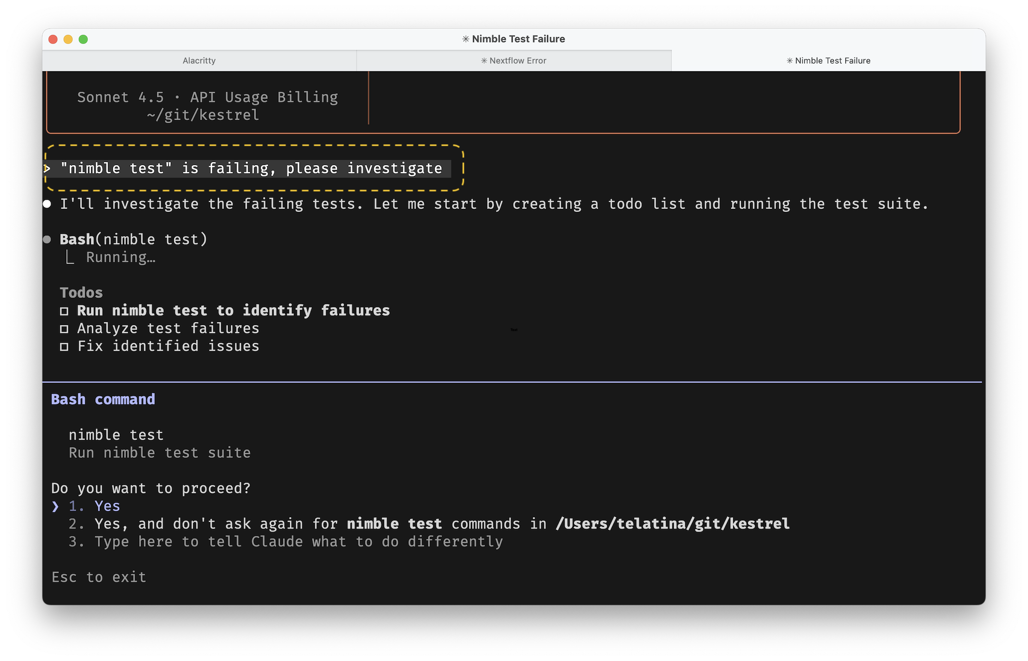 Claude code screenshot