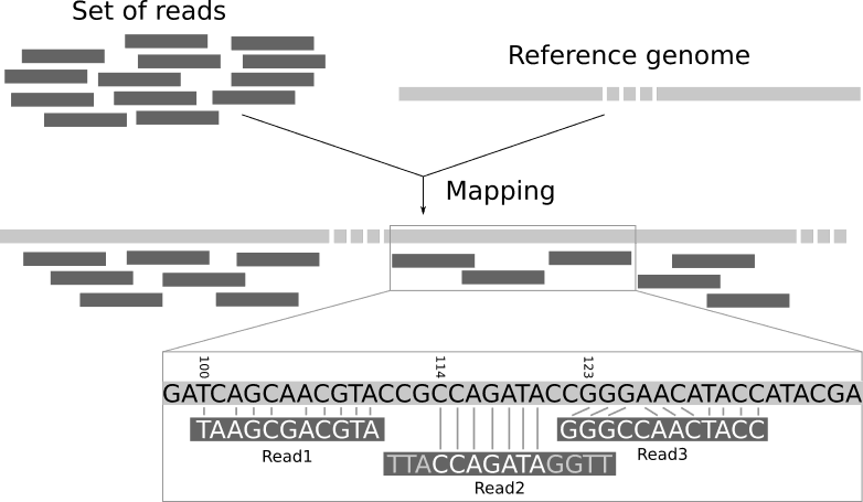 mapping scheme from Galaxy (1)