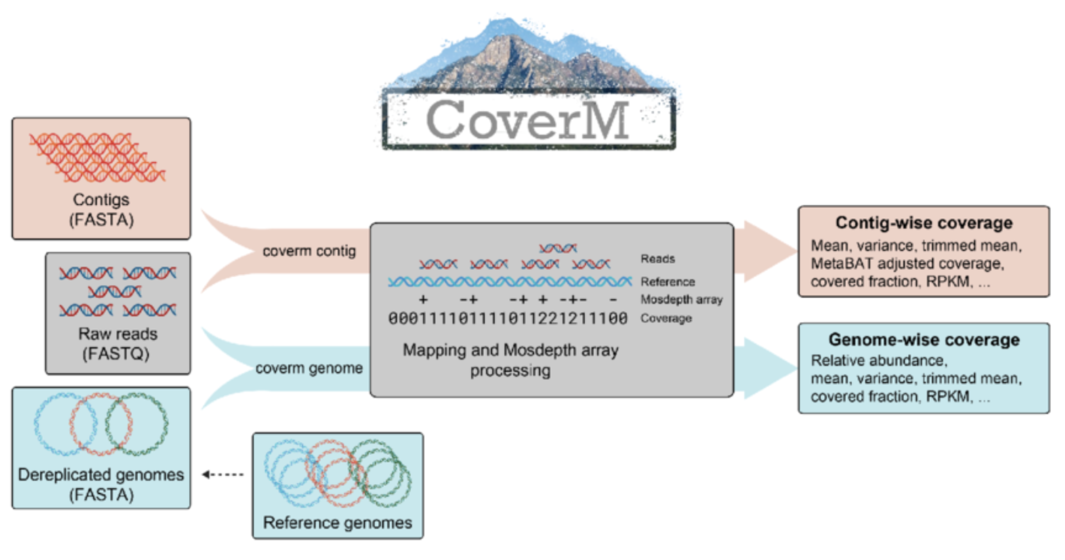 Coverm workflow